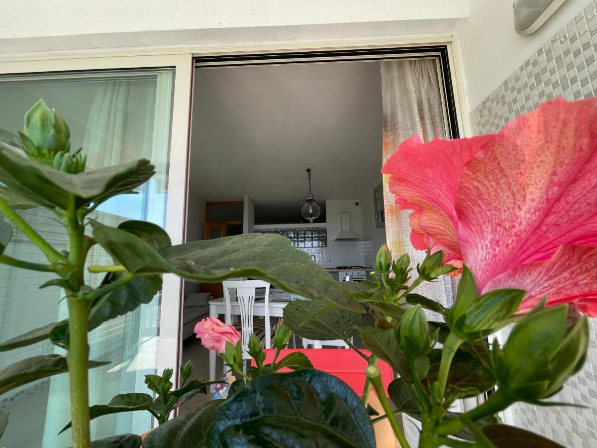 A Casa Di Silvia Gambassi Terme Exterior foto